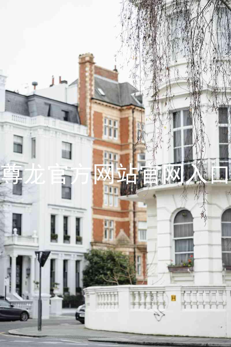 尊龙官方网站官网入口