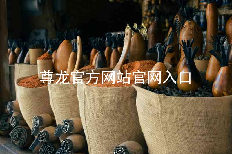 尊龙官方网站官网入口